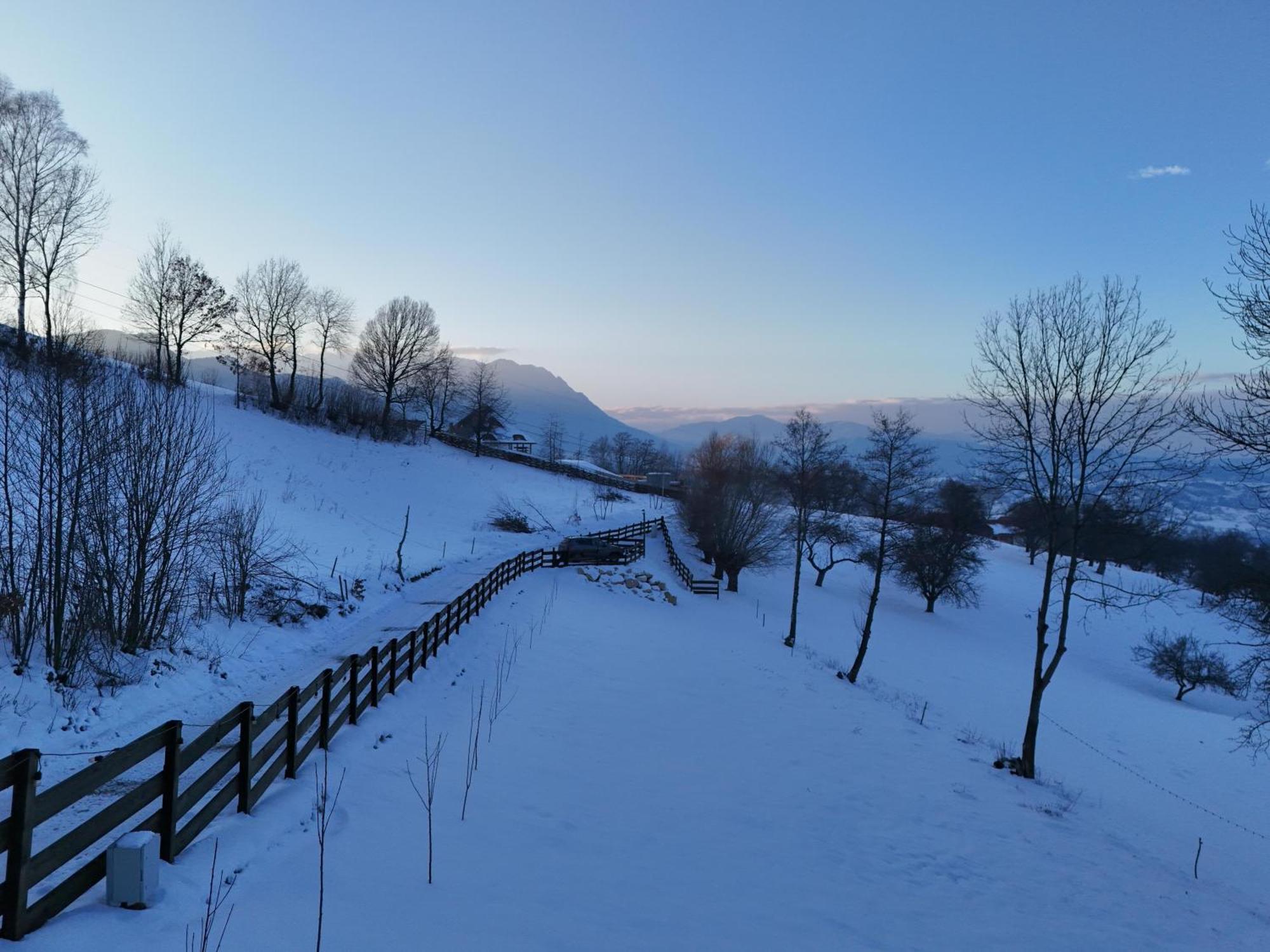 Doza De Verde Retreat&Spa Bran-Adults Only Sohodol  エクステリア 写真