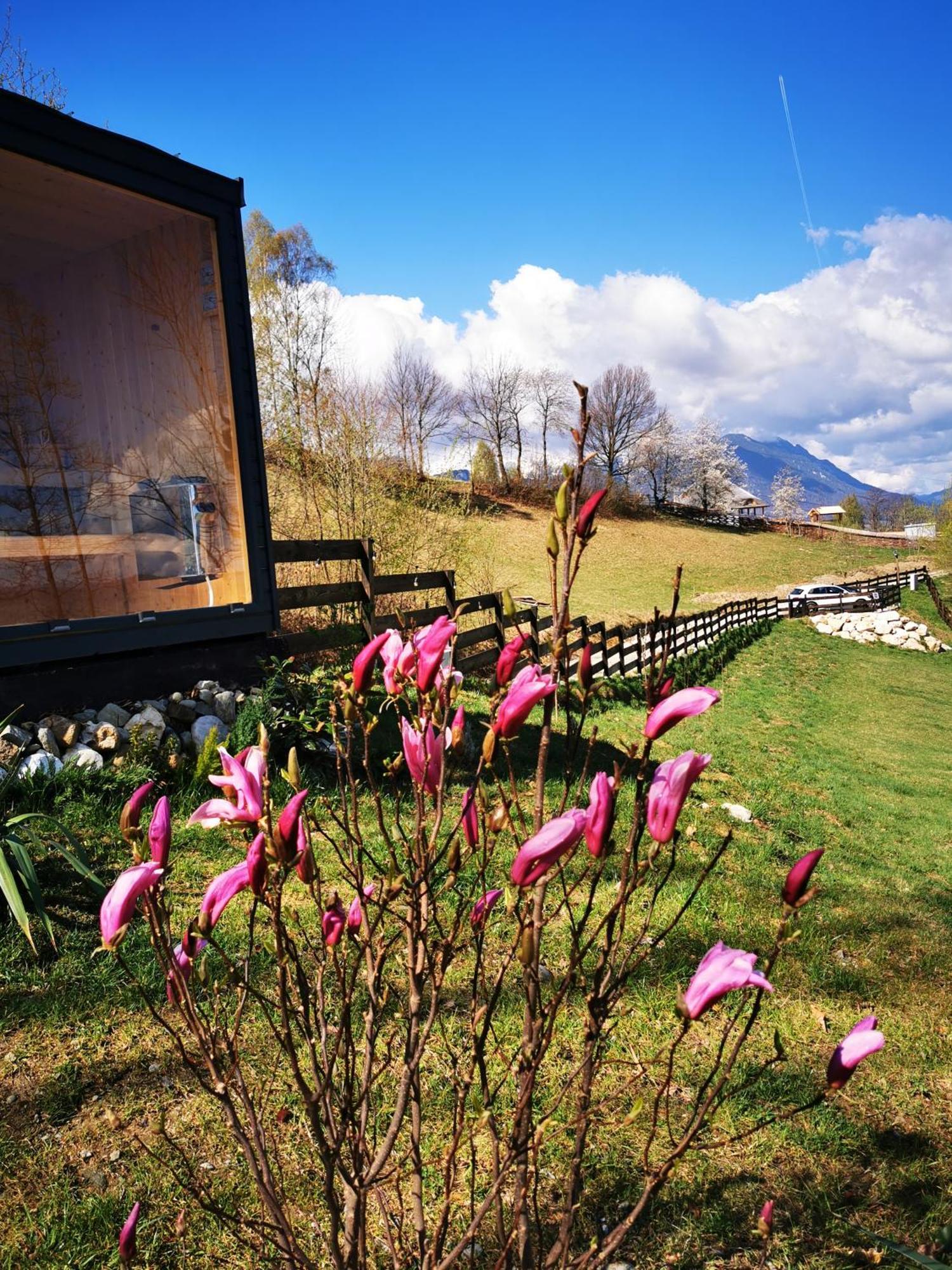 Doza De Verde Retreat&Spa Bran-Adults Only Sohodol  エクステリア 写真